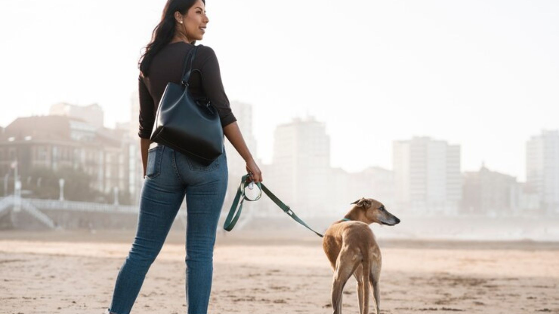 Running Leash For Dogs